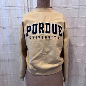 Champion Women's Yellow and Tan Sweatshirt